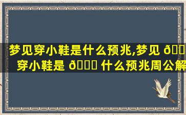 梦见穿小鞋是什么预兆,梦见 🐧 穿小鞋是 🐎 什么预兆周公解梦